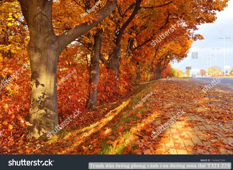 Tranh dán tường phong cảnh con đường mùa thu T321-228